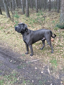 ANUK - 50 kg Pubertät und Lebensfreude ANUK - 50 kg Pubertät und Lebensfreude