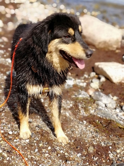 AGIA nach dem Baden im Meer AGIA nach dem Baden im Meer