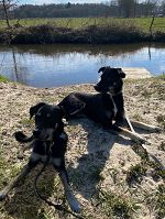 Luna und Paco