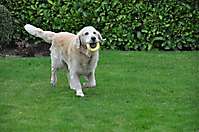 Bild von BRIX Bild von BRIX