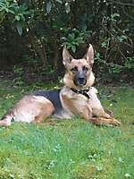 Bild von NELLY